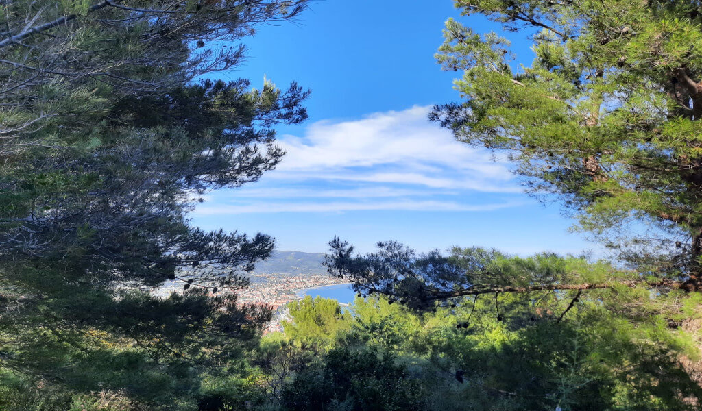 Il panorama che si può godere dalla torre