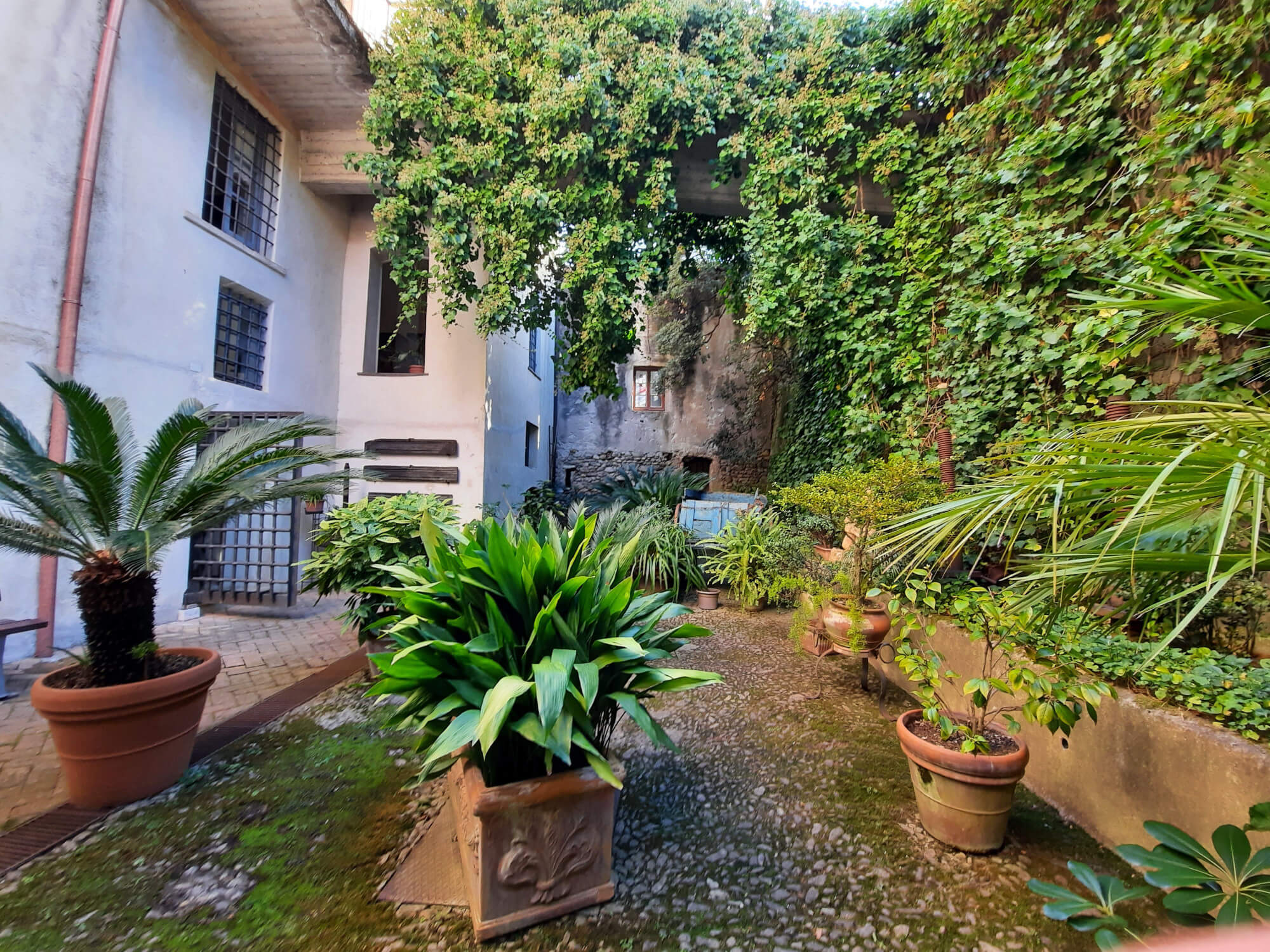 Il cortile interno del museo di Toirano Immagine di una parte del giardino interno