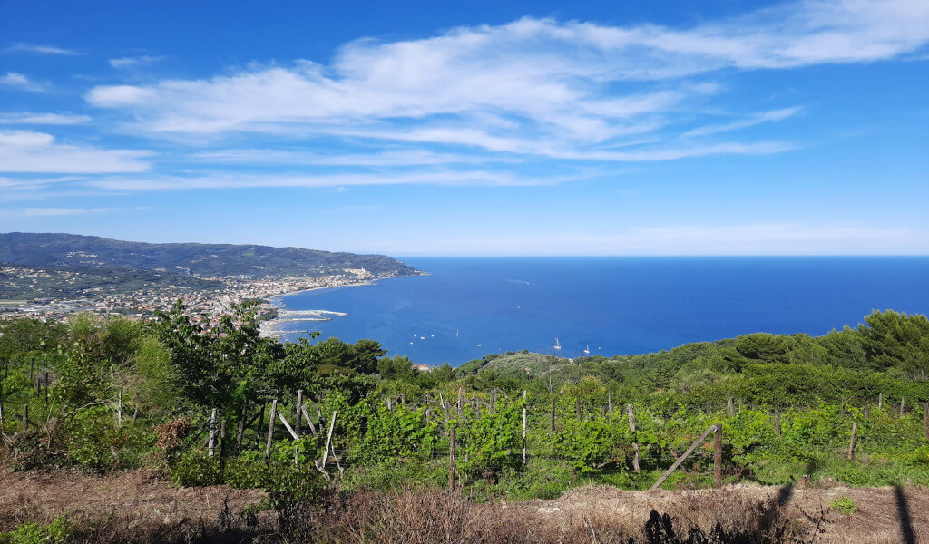 Vista privilegiata sul Golfo Dianese