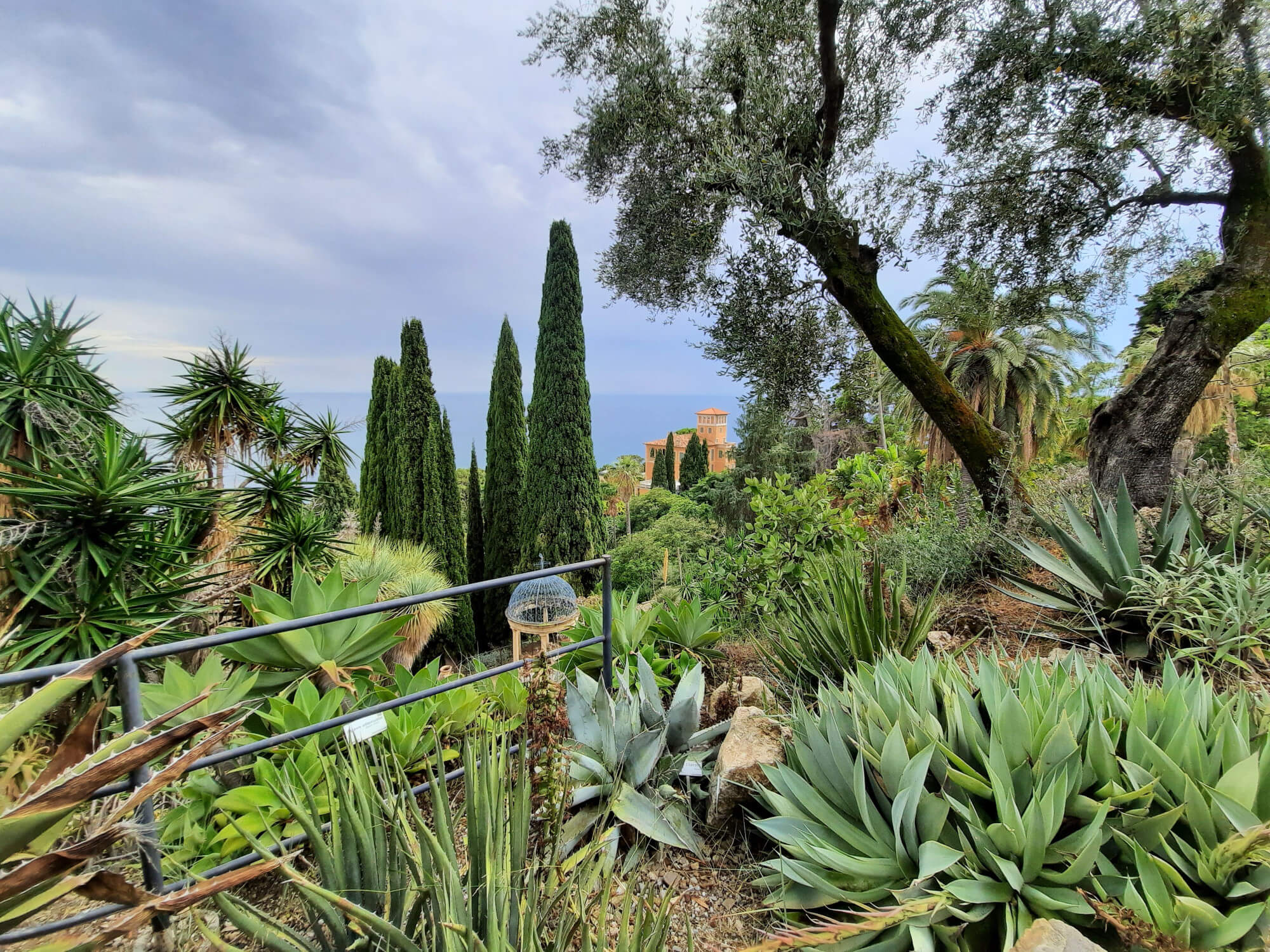 Diverse tipologie di vegetazione ai Giardini Hanbury