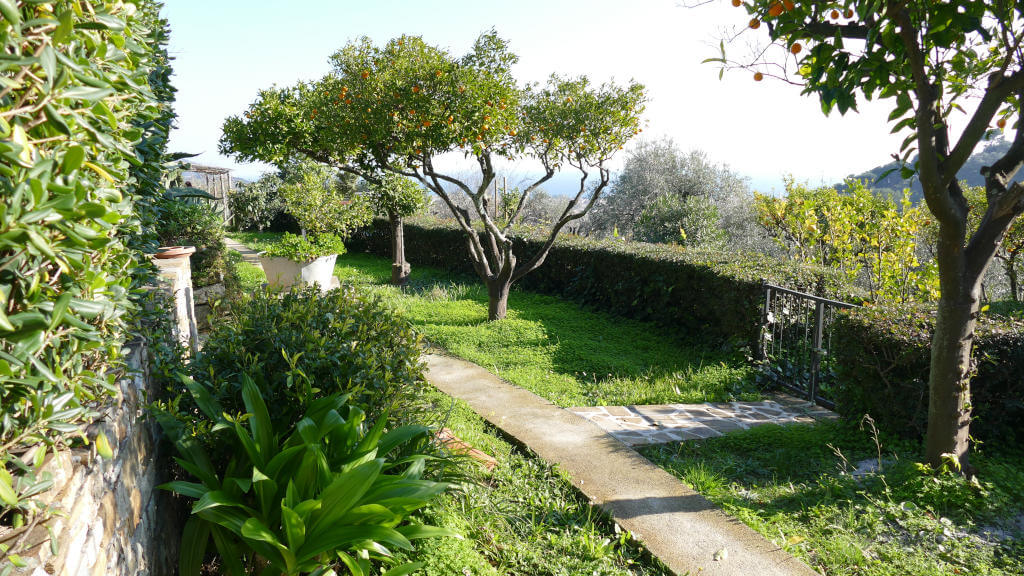View of Borgo Muratori Borgo Muratori surrounded by greenery