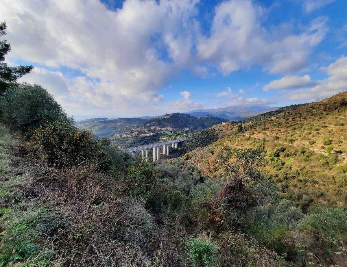 Excursion Castellaro-Lingueglietta: nature and Ligurian villages