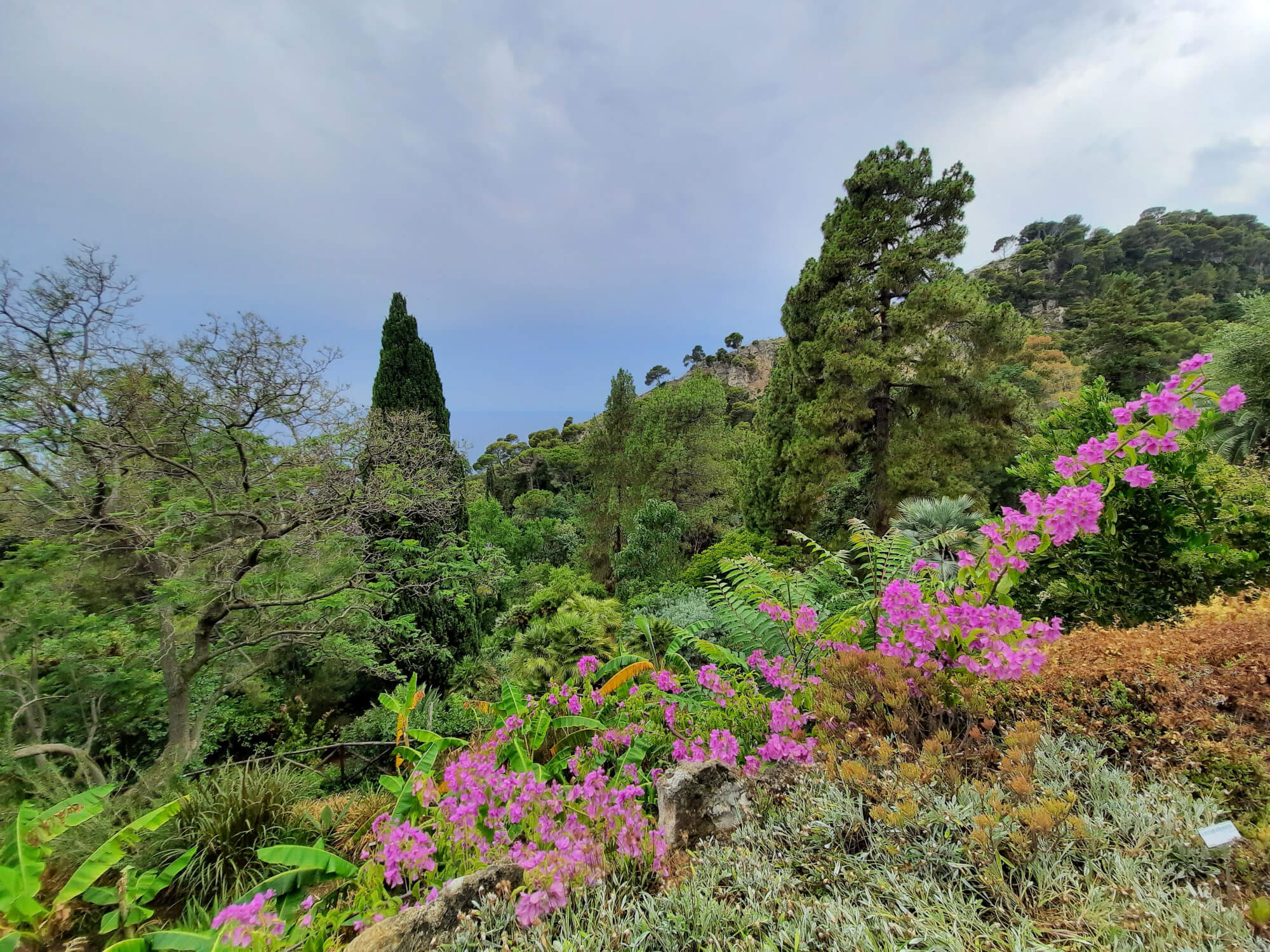 The Hanbury Botanical Gardens of Ventimiglia