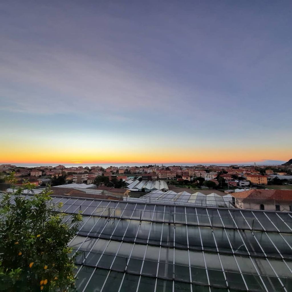 Dal nostro agriturismo si scorge la Corsica