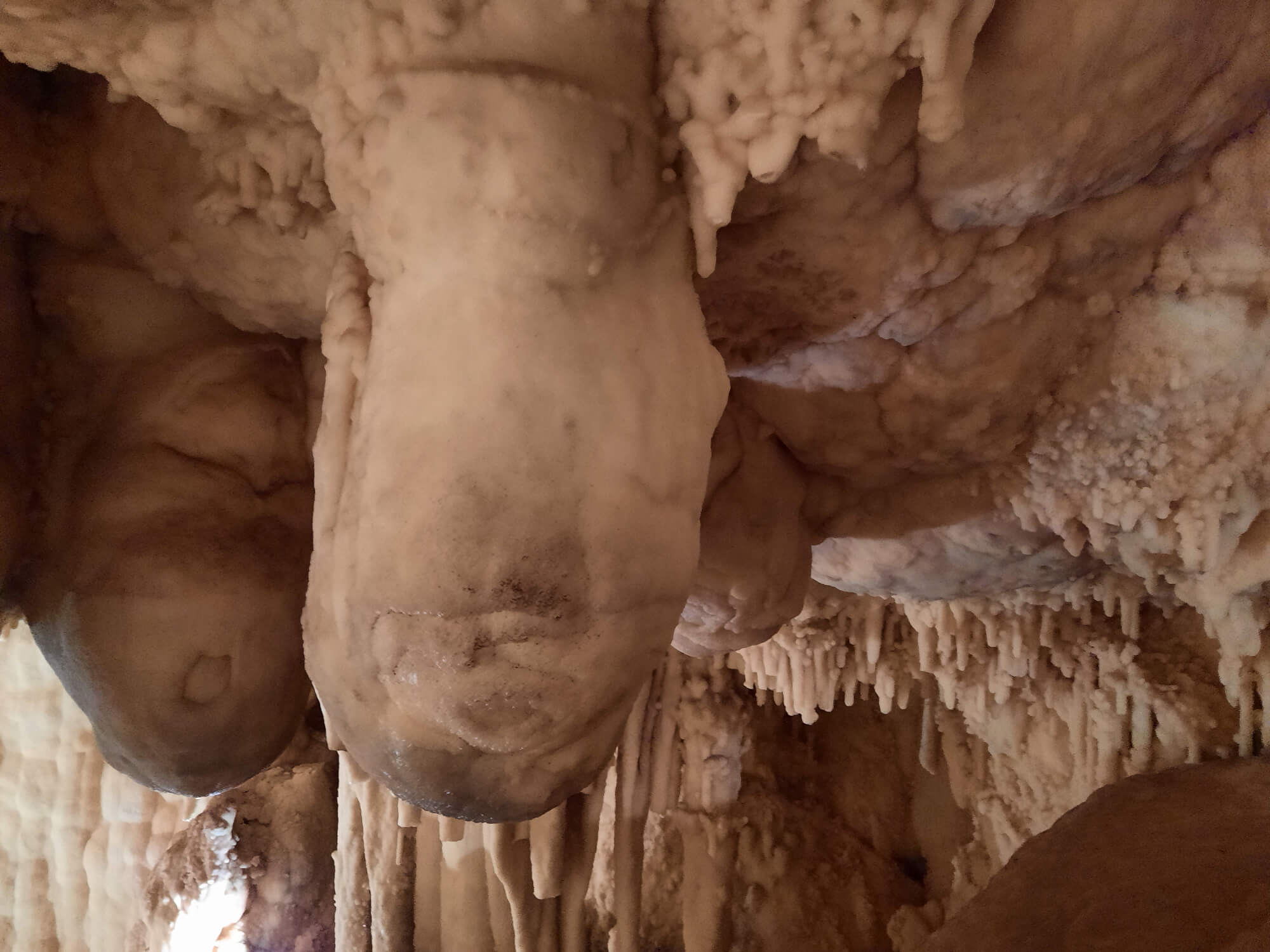 L’antro di Cibele, una delle sale nelle grotte di Toirano