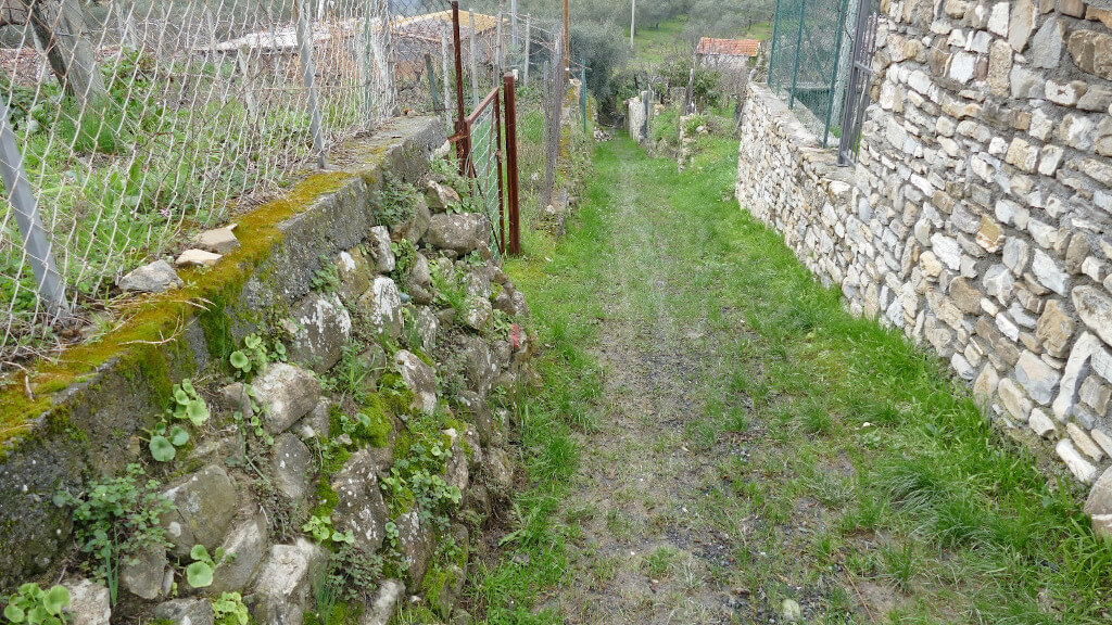 Il sentiero che conduce alla Fontana del Melo