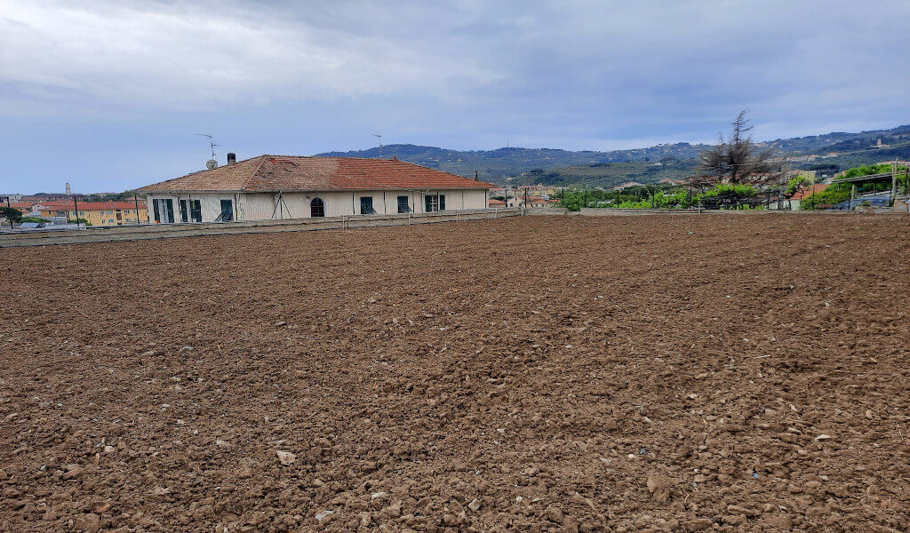 Preparazione del terreno per zucchine trombetta
