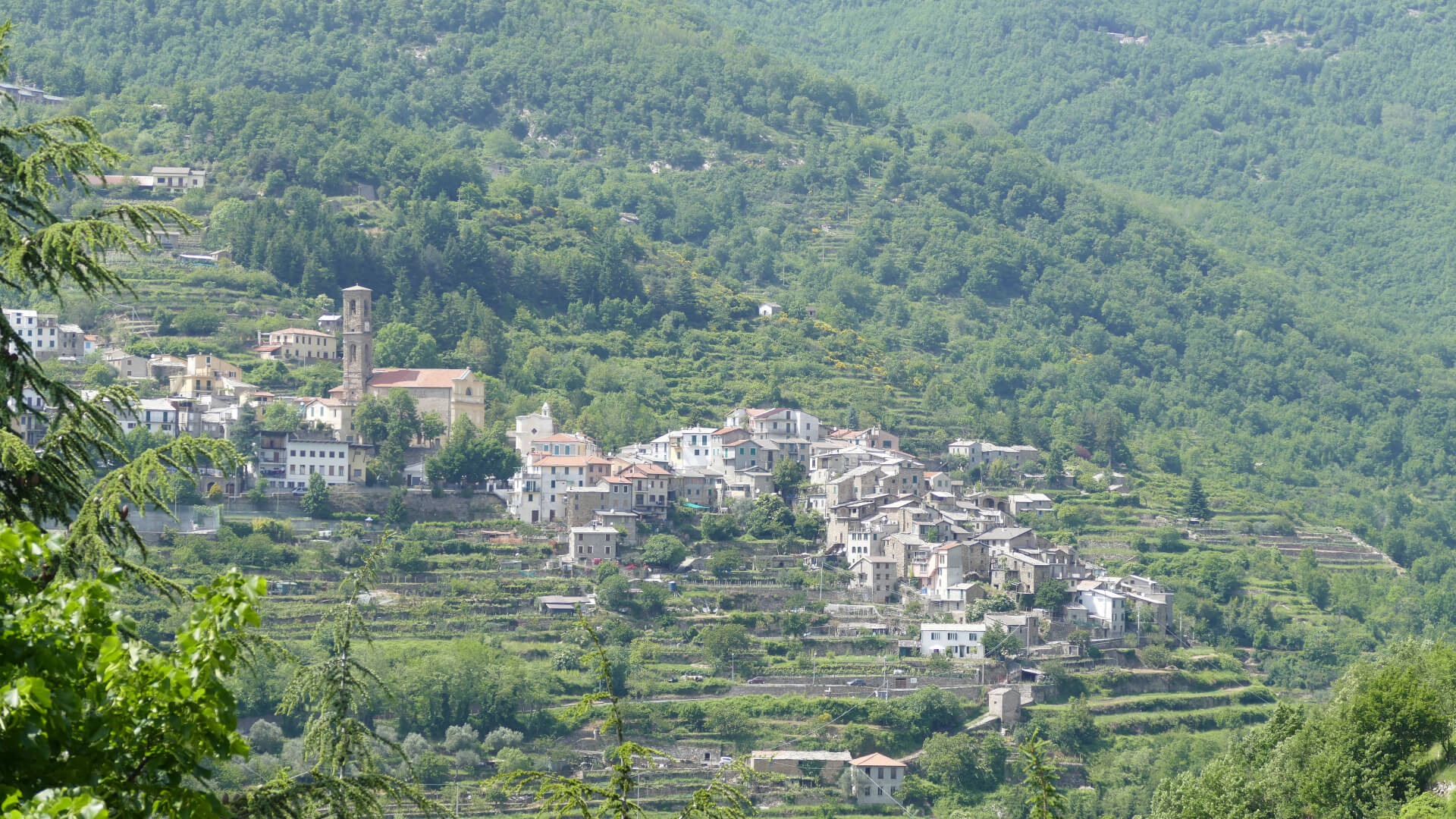 Discovering the Argentina Valley: from Taggia to Carpasio