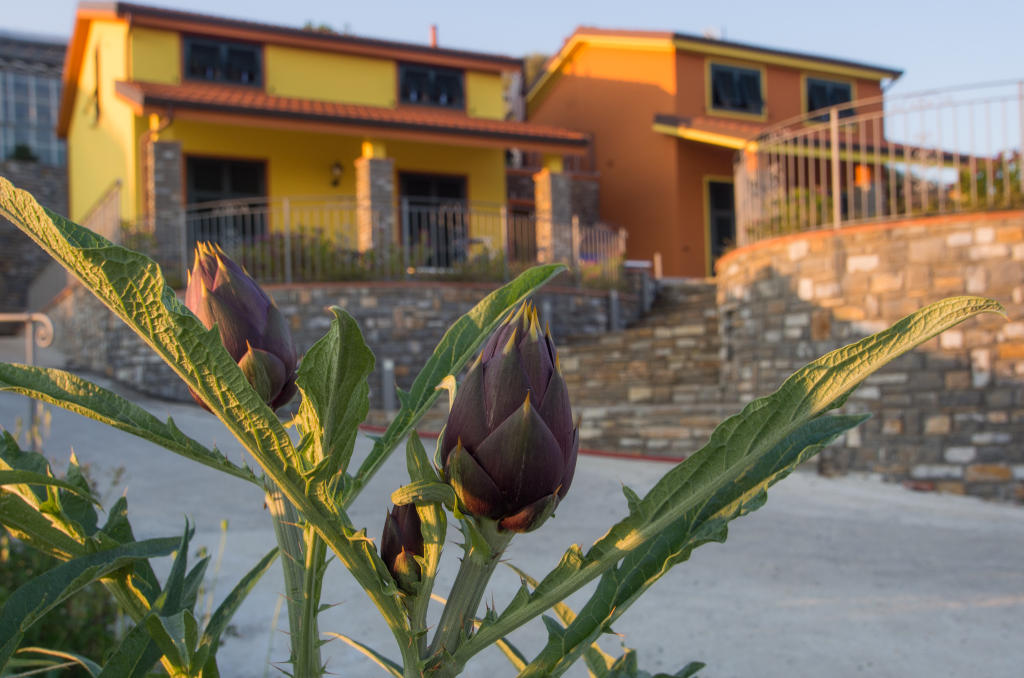 Immagine di prodotti coltivati nell’Azienda Agricola