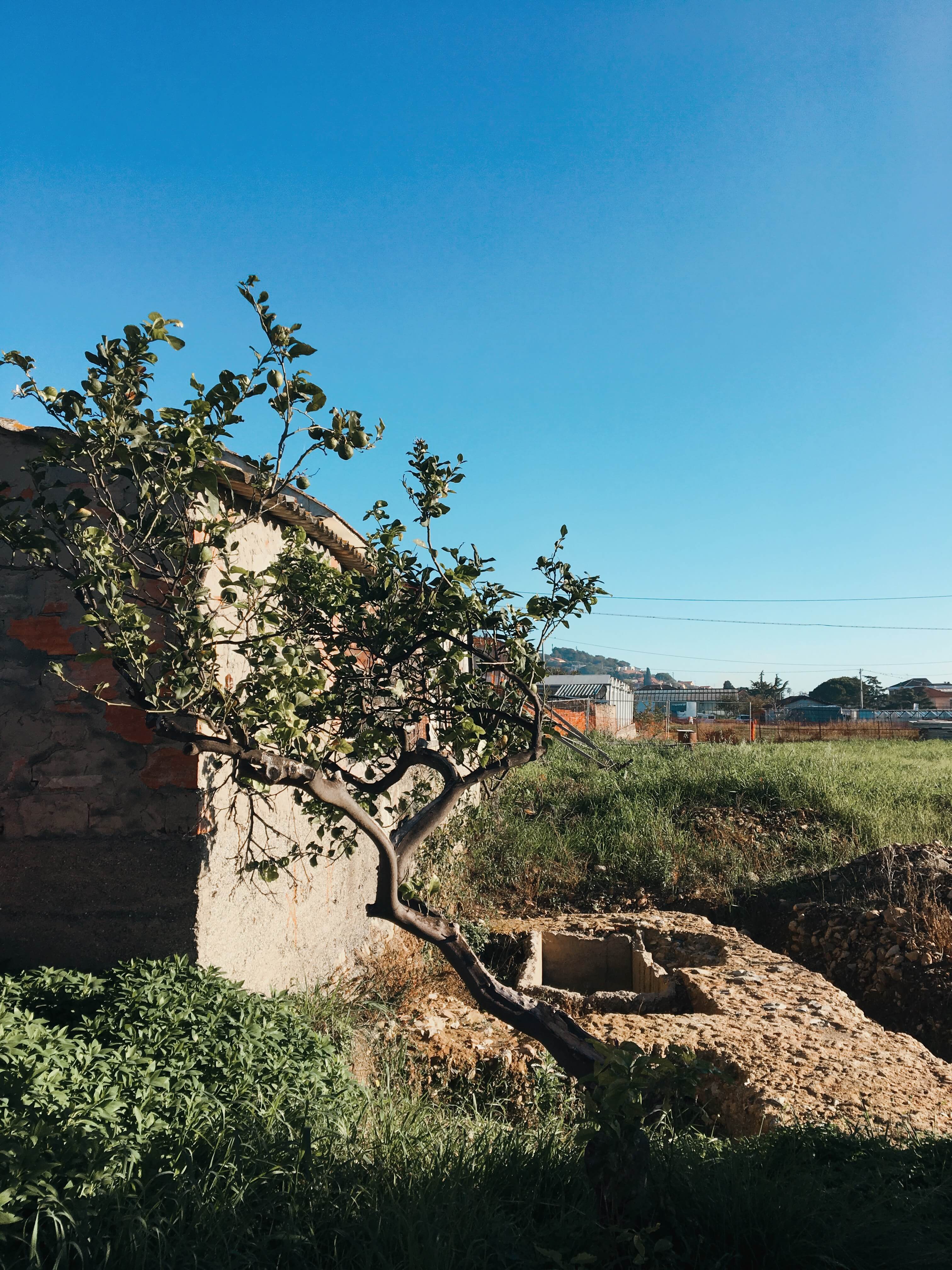 Immagine dei resti della villa romana