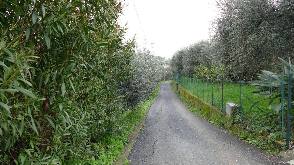 La strada asfaltata verso Diano San Pietro