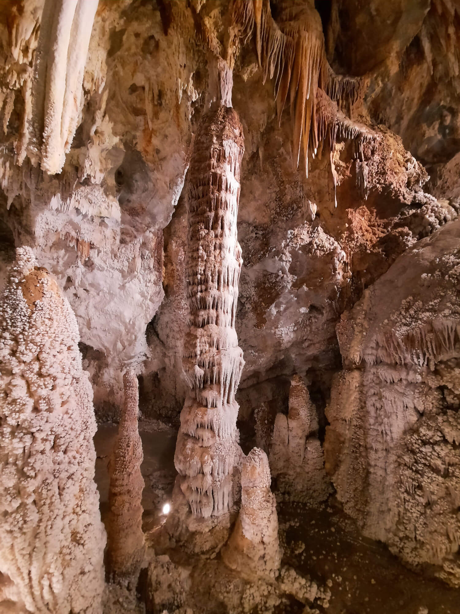 Immagine della sala del Pantheon