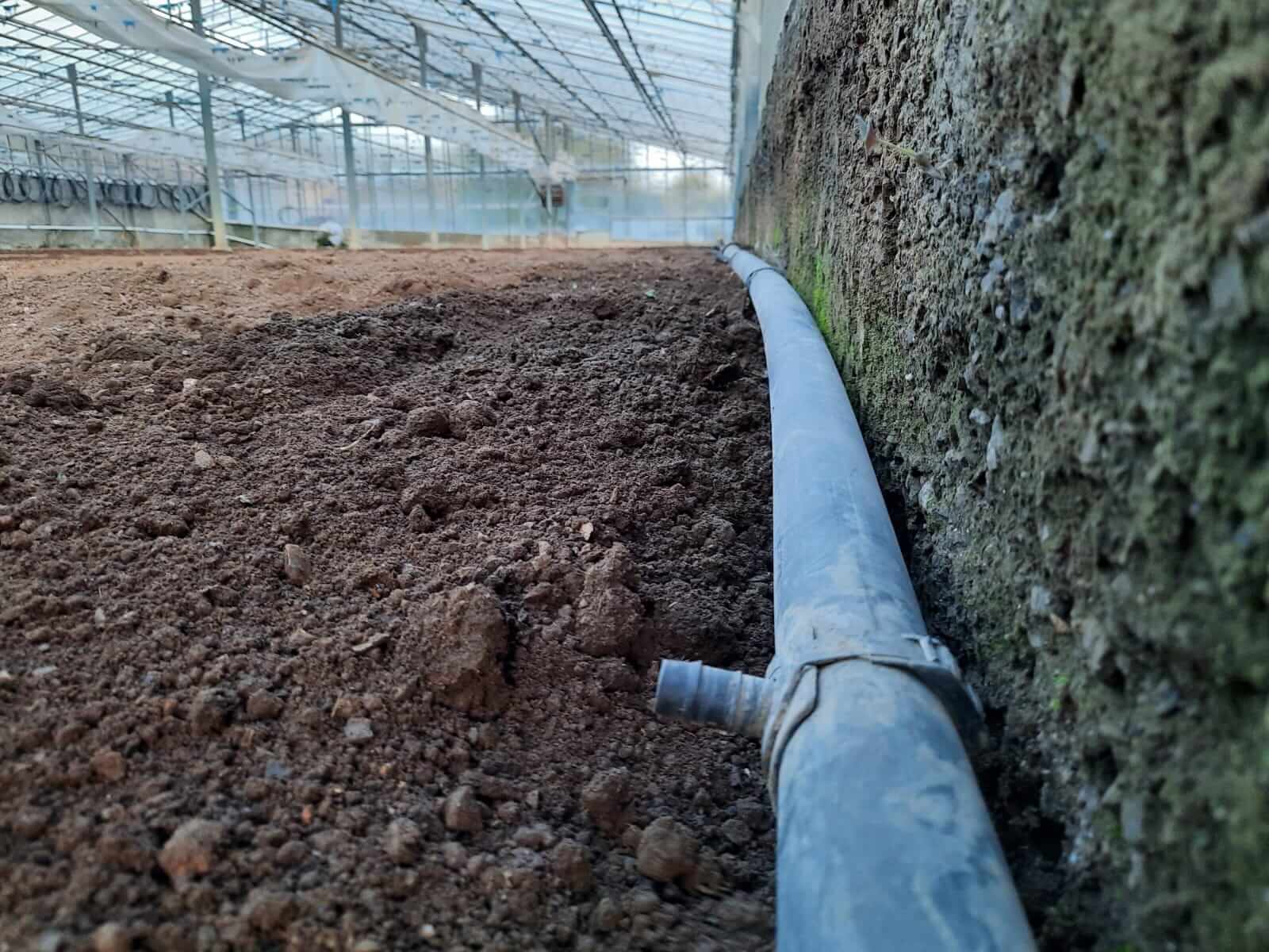 The greenhouse pipe to which we connect the drip system