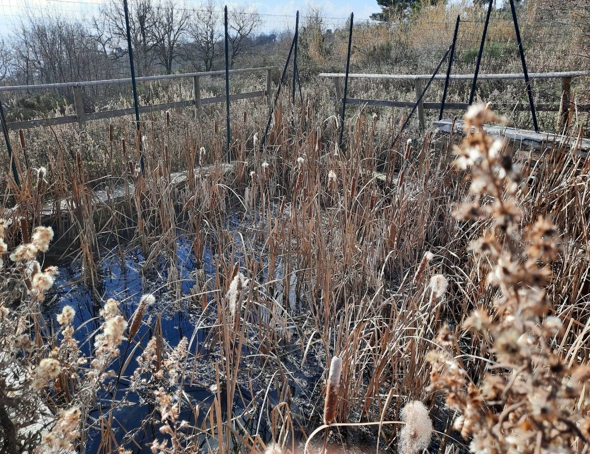 Vista dell' abbeveratorio di Pompeiana