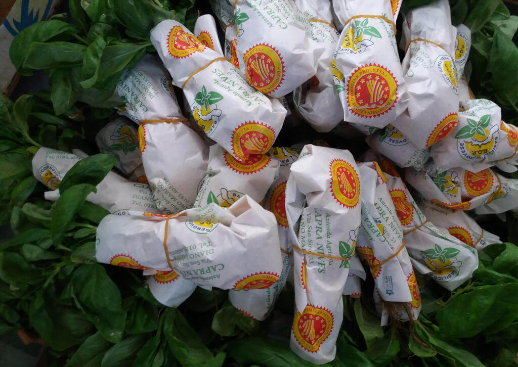 Alcuni mazzetti di basilico DOP genovese Immagine di mazzetti di basilico DOP