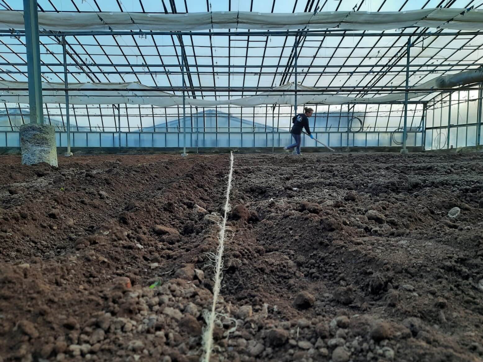 The fishing line to sort the furrows of the greenhouse