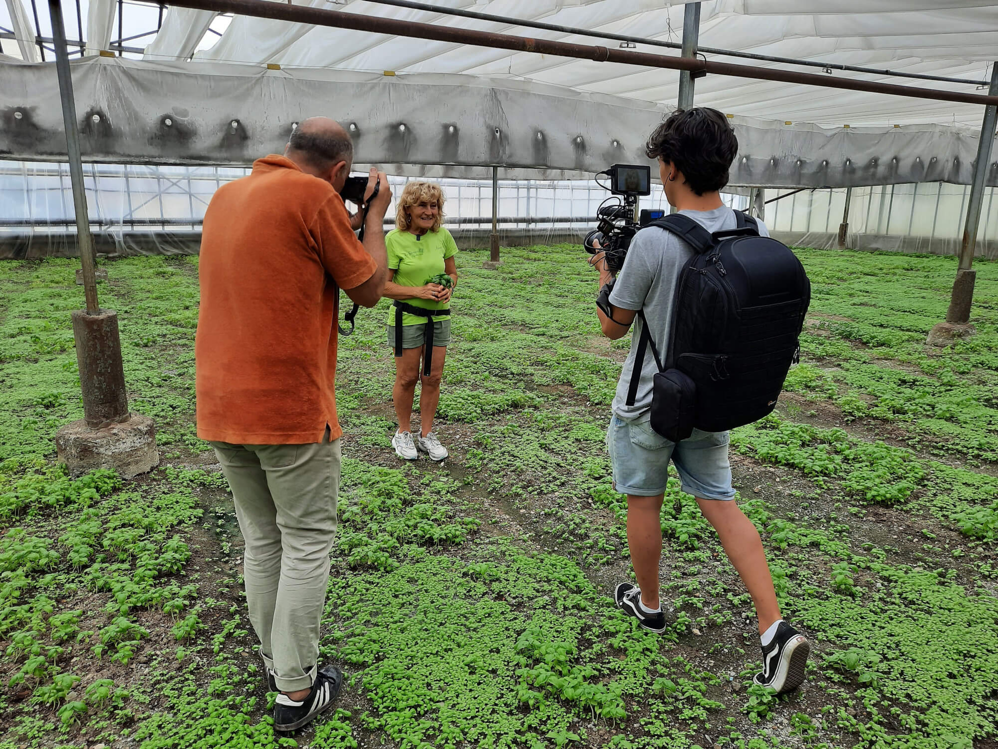 The Consortium for the protection of Genoese Basil PDO on a farmholiday